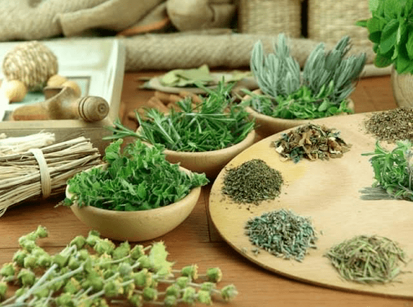 Herbal medicines to treat yang